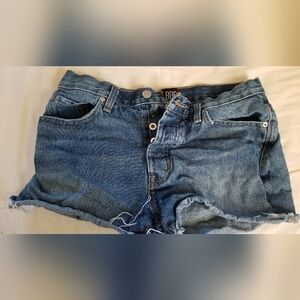 BDG Urban Outfitters Distressed Denim Short, Medium Wash, Size 25